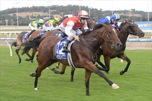 Toffee filly shows class in win